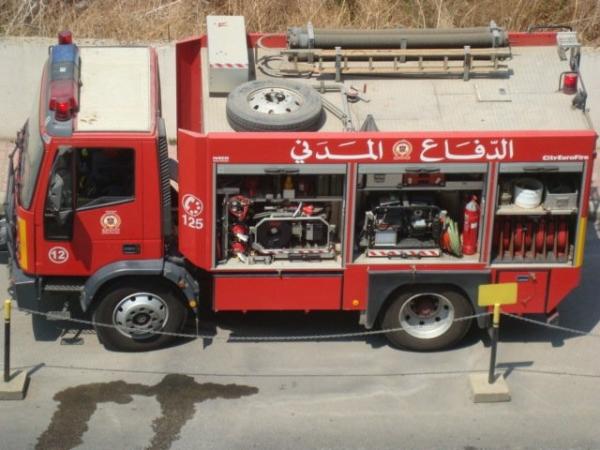 متنزهون يحرقون جزءا من شجرة عمرها