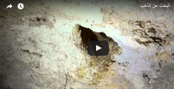 البحث عن كنور ادمان يفوق الخيال