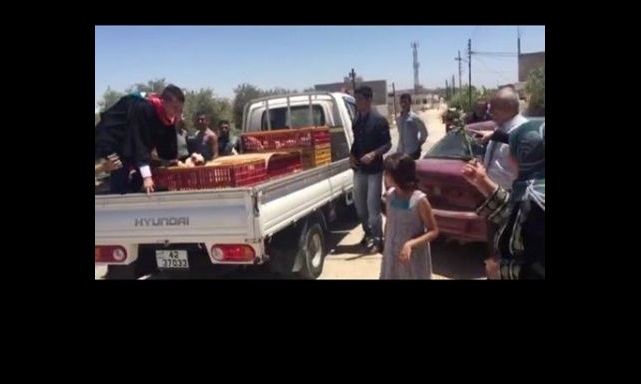 خريج باليرموك يترك الحفل ليبيع الدجاج