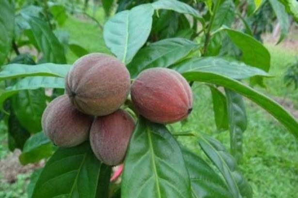 بالفيديو: إنه شيء جنوني حقا :