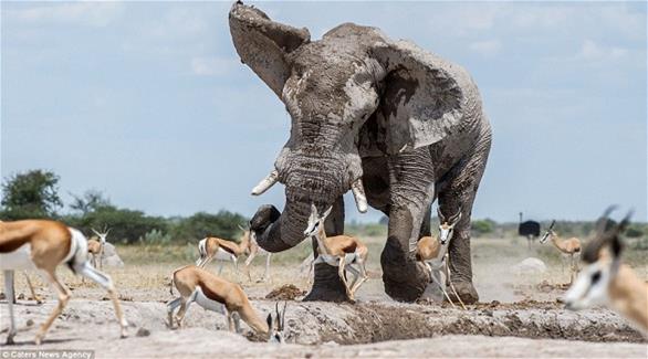 بالصور: هذا ما يحدث عندما تقف