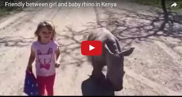 بالفيديو: طفلة 3 سنوات تنشئ صداقة