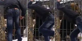 لهذا السبب لا تدخل يدك في