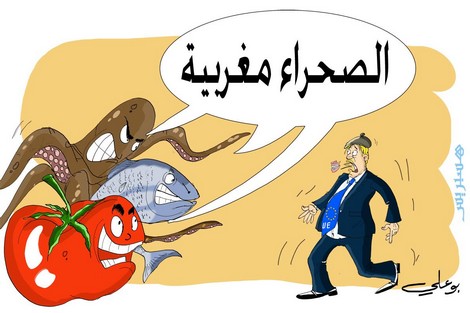 ألمانيا تتفهم موقف المغرب من قرار