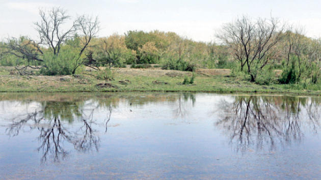 اكتشاف بقايا حيوانية تعود لأكثر من