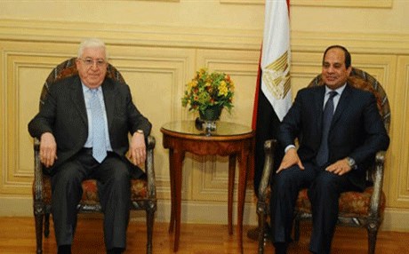 السيسى يلتقي معصوم ويؤكد على موقف