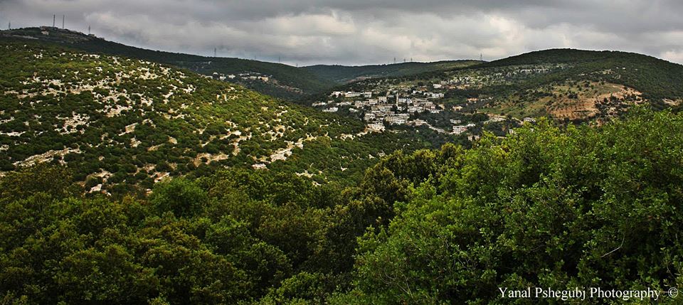 طقس الجمعة والسبت.. بارد وغائم
