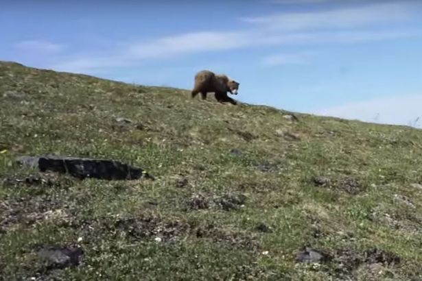 شاهد: كيف تخلص هذا الرجل من