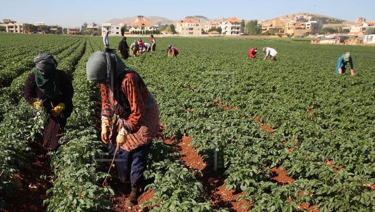 18018 أردنية يعملن في مجال الإنتاج