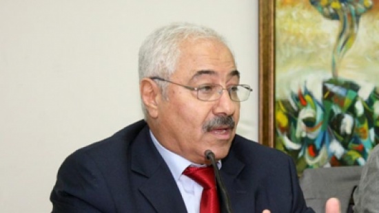 داوودية: النظام السياسي الاردني قوي ومعافى