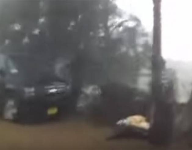 شاهد.. . لحظة وصول اعصار شابالا