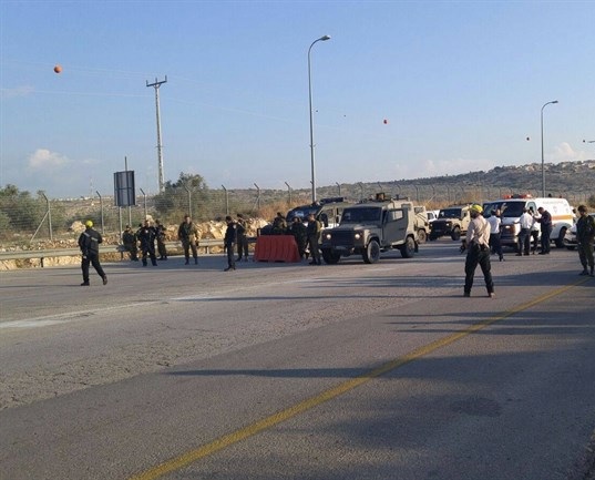 الاحتلال يعدم فلسطينية جنوب قلقيلية