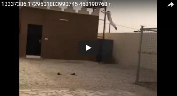 بالفيديو: شاب يلوذ بالفرار من نمر