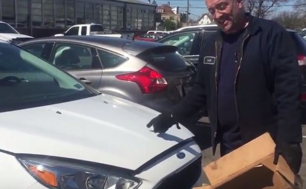 بالفيديو: أمريكية تكتشف 3 سناجب داخل