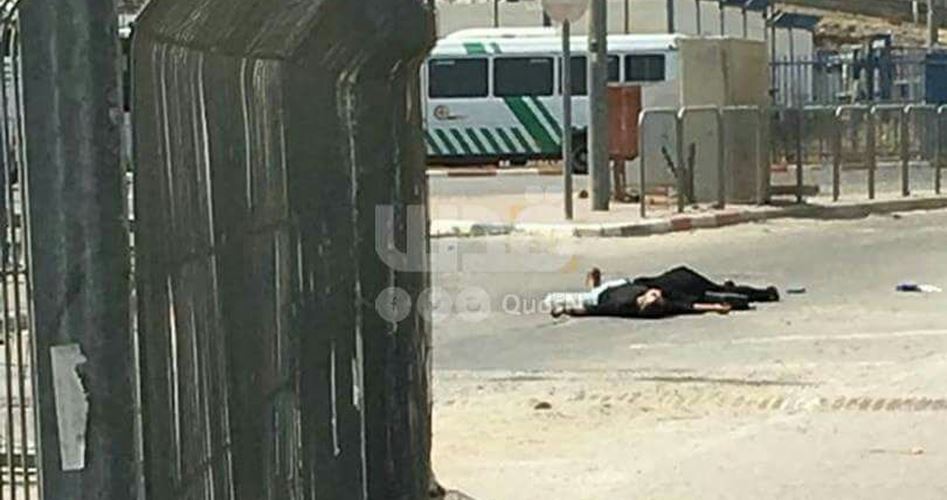 استشهاد فتاة وشاب عند حاجز قلنديا