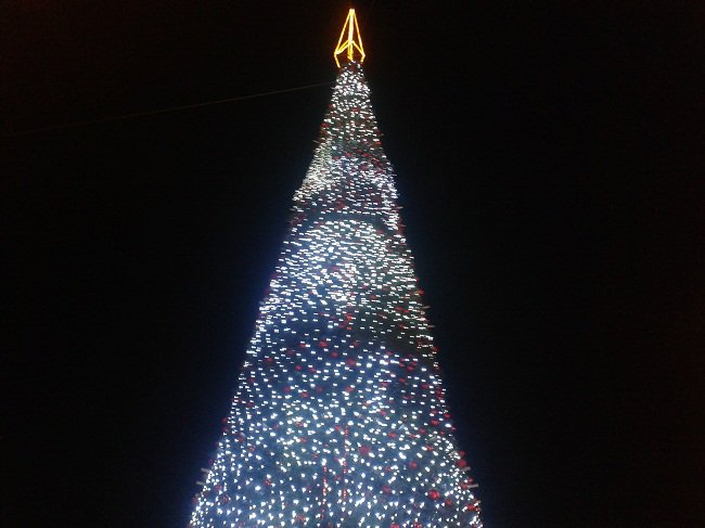 إضاءة شجرة عيد الميلاد في المغطس