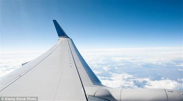 ما سبب وجود نهايات معكوفة لأجنحة