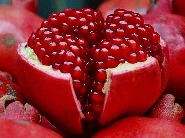 رمان اربد: مهرجان ناجح ومطالب بمأسسته