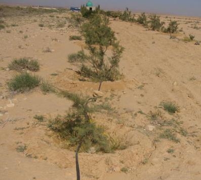 الجفاف سيأكل 25% من مساحة الأردن