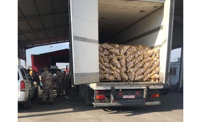 لبنان يحبط تهريب مليون حبة مخدرة