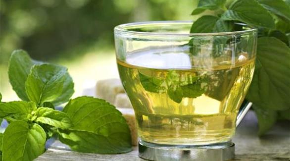 الأعشاب تحارب متاعب المعدة