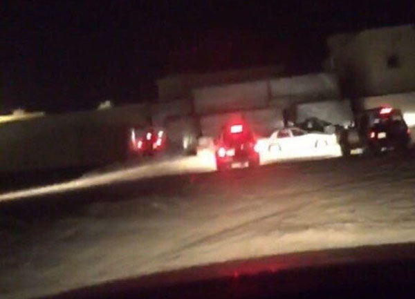 استنفار للبحث عن أسد هارب من