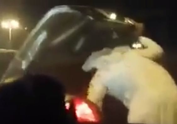 سعودي يعتدي بالضرب على شاب مصري