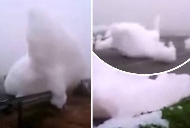 فيديو: سقوط غيمة على الأرض في