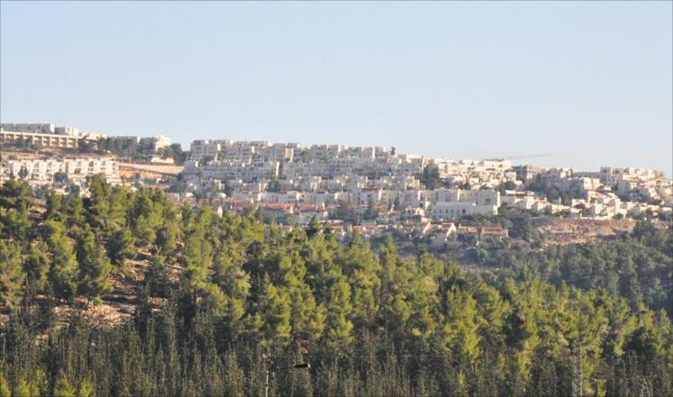 حملة استيطانية اسرائيلية شرسة تتعرض لها