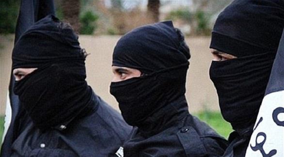 التويتر الوجهة المفضلة لأنصار داعش
