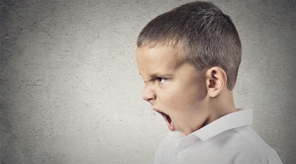 هل تؤثر التغذية في السلوك العدواني