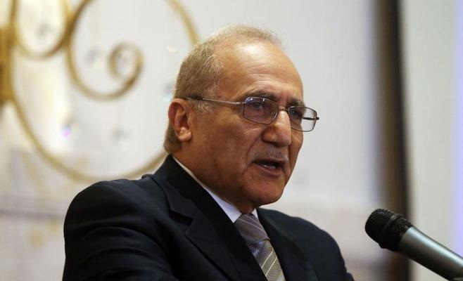 العناني : مناهجنا كانت محفزة للإرهاب
