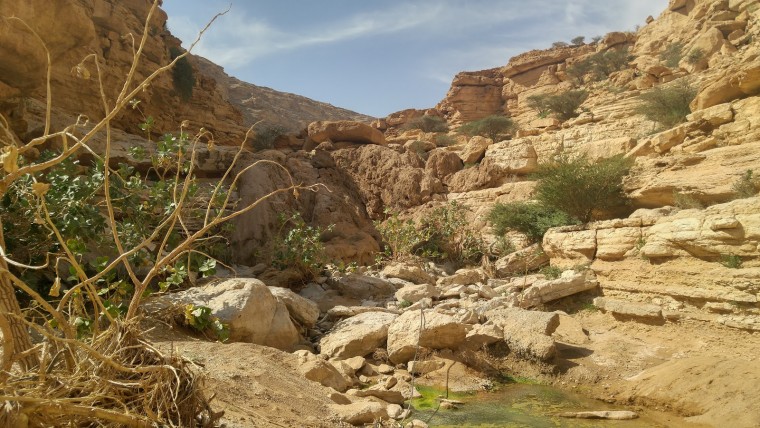 وفاة سبعيني بسقوطه عن مقطع صخري