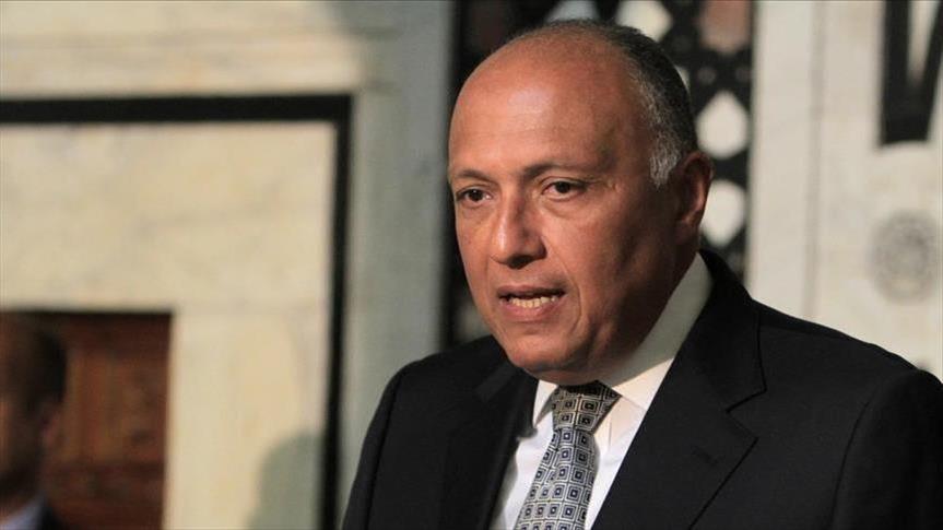 شكري: لم نغلق ملف ريجيني.. ومطلب