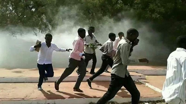السودان.. نقابة المحامين تدين اعتقال 13