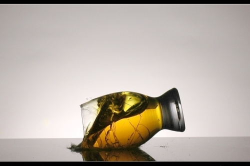 عشق أميري .. نص لـ سعيد لعريفي