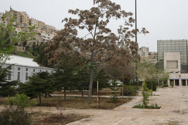 يوم طبي مجاني في ساحة النخيل