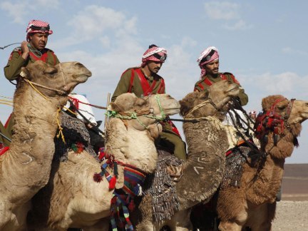 العقيد الزبن: لا مناطق في البادية