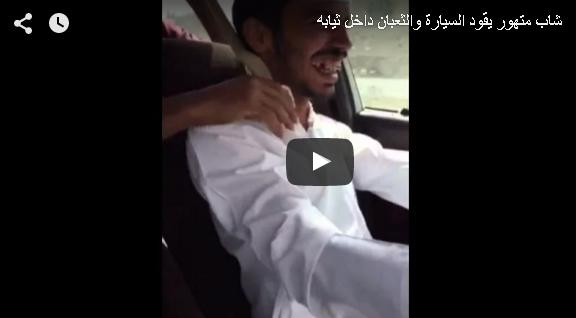 بالفيديو: متهور سعودي يقود سيارة وثعبان