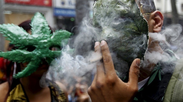 إنشاء 4 نواد لاستهلاك الماريخوانا في