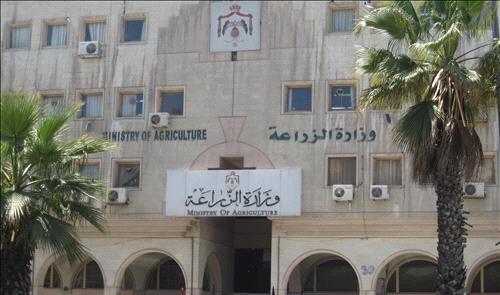 الأحد اخر موعد لاستلام القمح والشعير