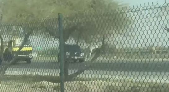 فيديو: شاب يوثق تسبب جمل لحادث