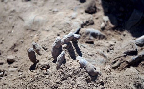 العثور على مقبرة جماعية للقوات الامنية