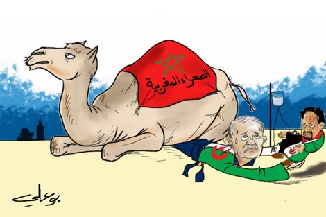 من إسبانيا .. حيدر و(كبير الجبهة)