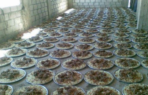 استيراد ألف طن من الجميد لدعم