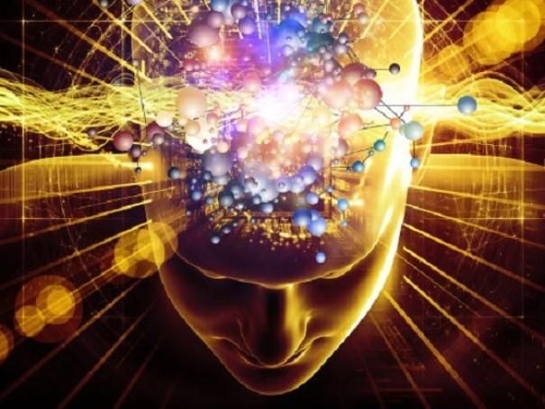 طعام الليل يؤثر في الدماغ