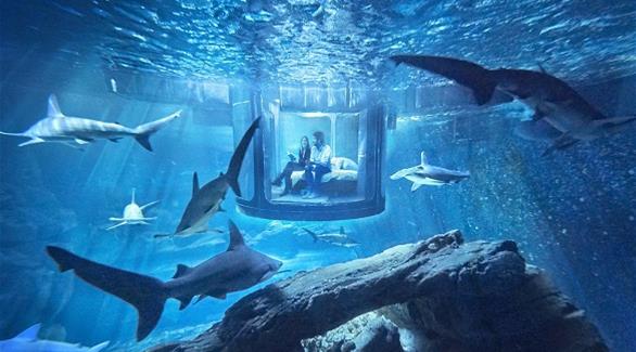 بالصور: فرصة للفوز بقضاء ليلة مع