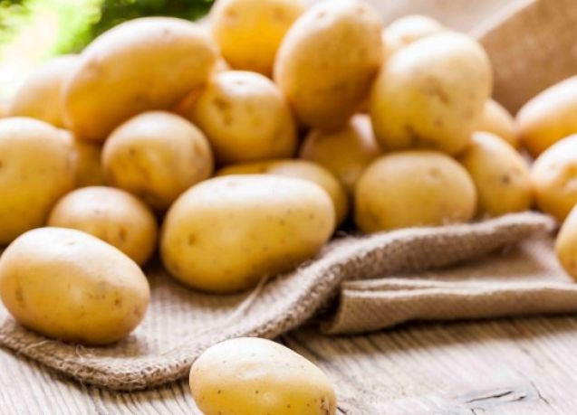 البطاطس الخضراء تحتوي على سم خطير