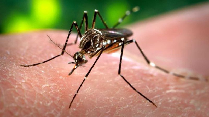Responding to fears over Zika