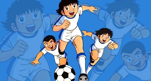 شوك الملاعب